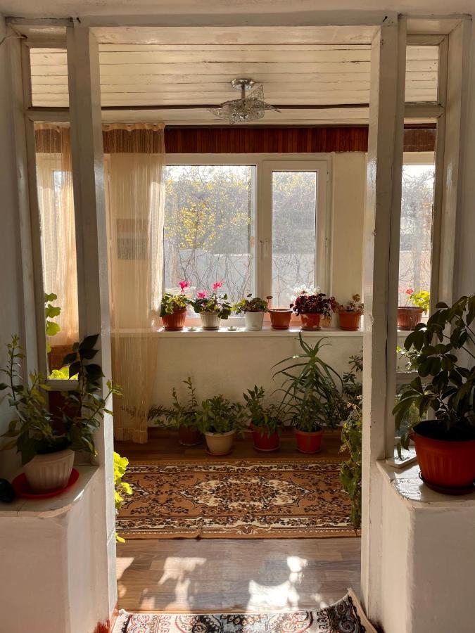 Gulnara Guest House Balyktschy Exterior foto