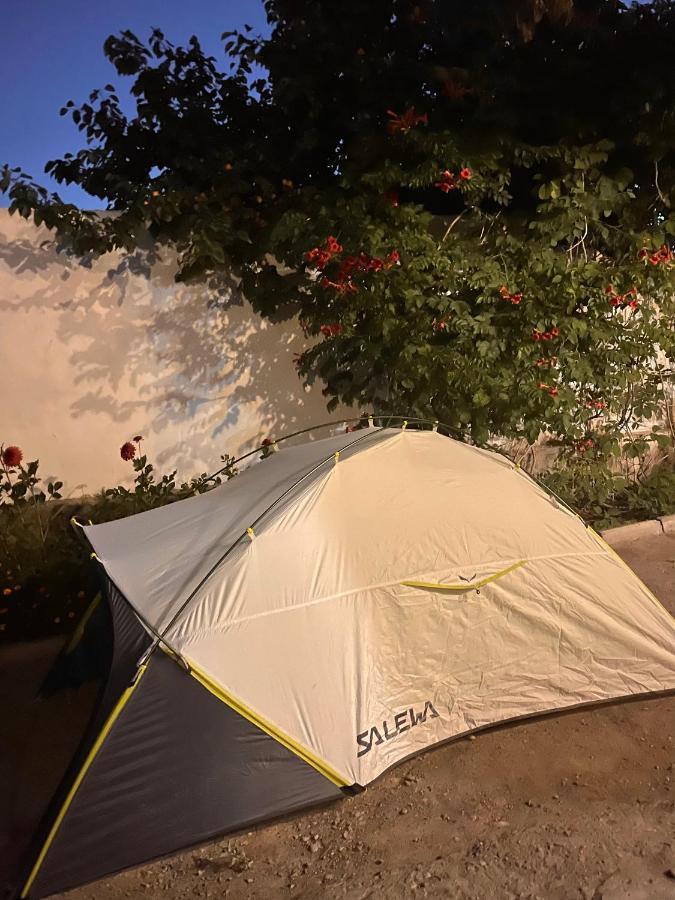 Gulnara Guest House Balyktschy Exterior foto